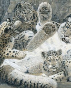 Snow Leopards