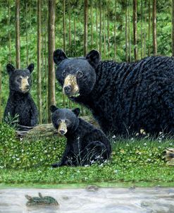 Manistee Bears