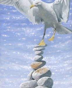 Balancing Act