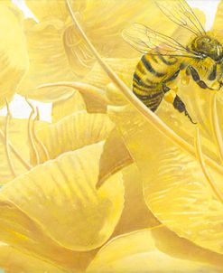 Bee & Daylilies, A Study In Yellow