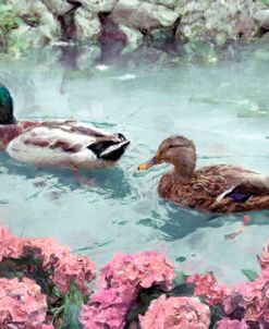 Mallard Ducks in a Calm Pond