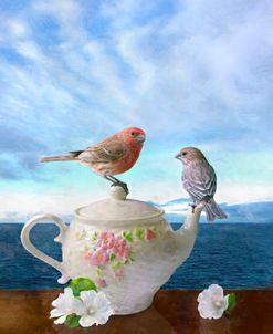 House Finches on a Teapot