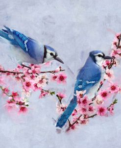 Blue Jays in a Peach Tree