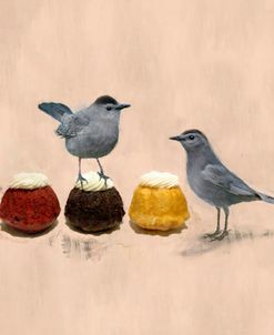 Catbirds and Cupcakes