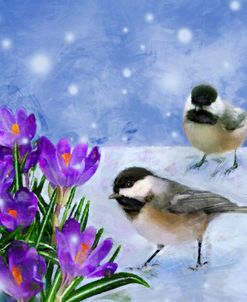 Chickadees and Crocus Flowers in the Snow