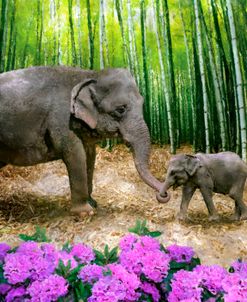 Elephant and Calf in a Bamboo Grove