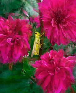 Grasshopper Hiding in a Dahlia Patch