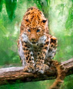 Leopard Perched in the Jungle