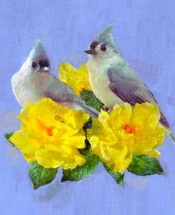 Tufted Titmice Perched on Yellow Roses