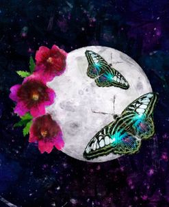 Butterfly Moon