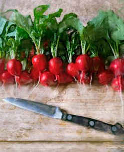 Fresh Garden Radishes