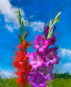 Red and Purple Gladiolus in a Summer Landscape