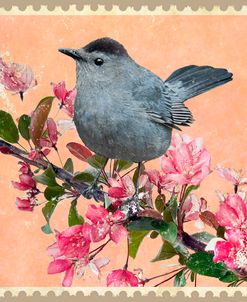 Catbird And Crabapple Blossoms