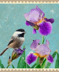 Chickadee And Iris