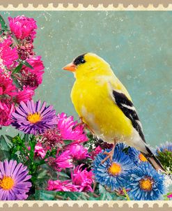 American Goldfinch And Asters