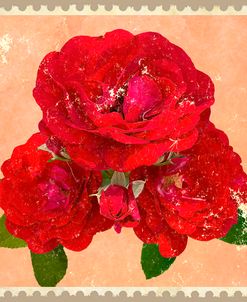 Blooming Red Roses On A Peach Background