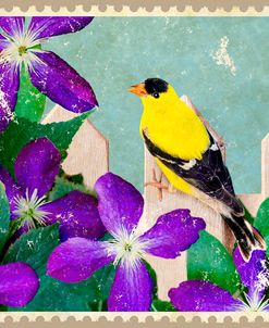 Goldfinch And Clematis