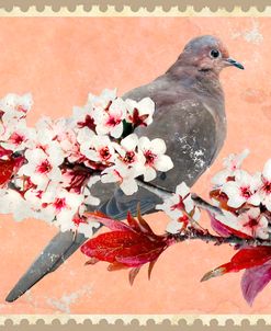 Dove And Plum Blossoms