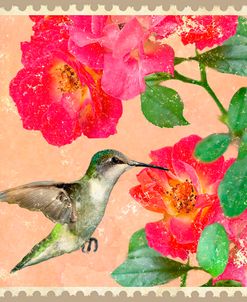 Ruby-Throated Hummingbird And Roses