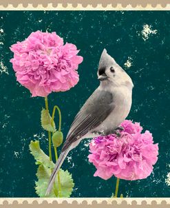 Titmouse And Poppies