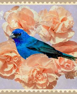 Indigo Bunting And Carnations