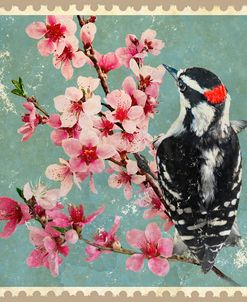 Woodpecker And Peach Blossoms