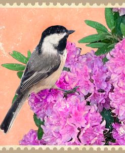 Young Chickadee And Rhododendron