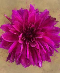 Flower 2 – Magenta Dahlia Bloom