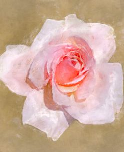 Flower 8 – Petite Pink Rose