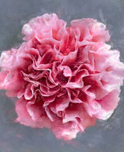 Flower 12 – Pink Ruffled Carnation