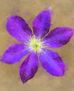 Flower 7 – Purple Jackmanii Clematis