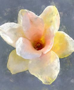 Flower 19 – Yellow Sunrise Magnolia