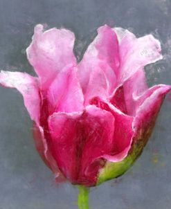 Flower 16 – Pink Spring Tulip