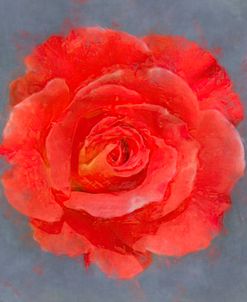 Flower 17 – Fluorescent Coral Rose