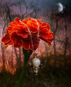 Opal Moon Pendant On A Red Marigold
