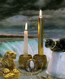 Tiger And Cat Waterfall Still Life