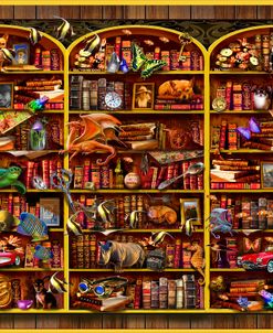 The Illusionary Library