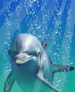 Dolphin Smiles N Bubbles 1