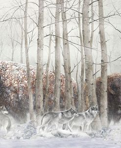 Ghosts Of Winter Bison