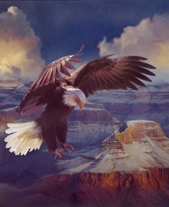 Eternal Freedom Eagle