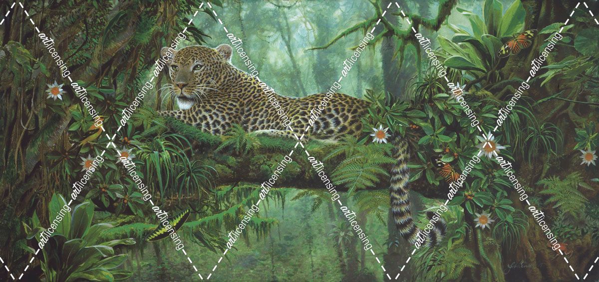 Leopard Jungle