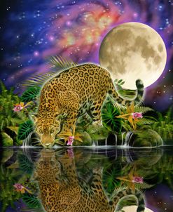 Leopard Moon
