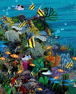 Reef Sanctuary