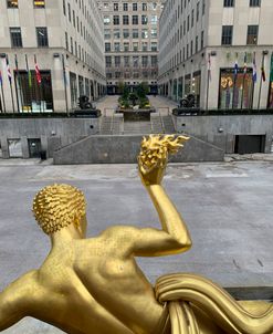 IMG_3606