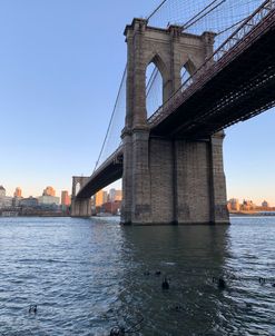 Brooklyn Bridge Morning