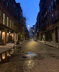 IMG_4481