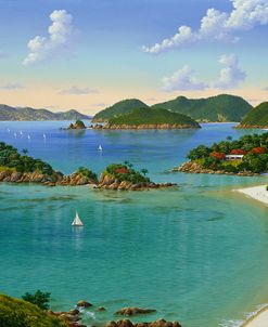 Trunk Bay – Virgin Islands