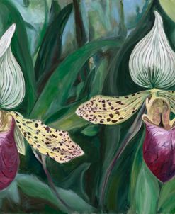 Friendship (Lady Slippers)