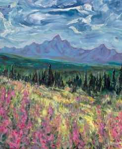 Tetons (Togwotee View)