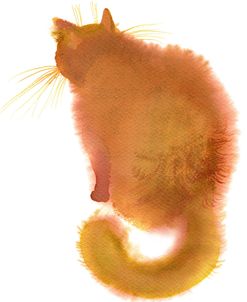 Ginger Cat